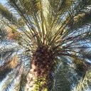 William Banning - @william_banning - Twitter