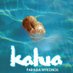 Kalua Myconos (@kaluamykonos) Twitter profile photo