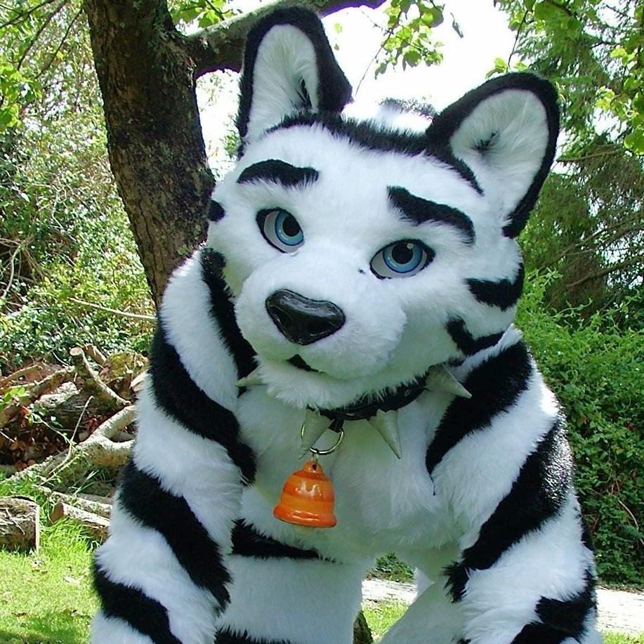 Ricoさんのプロフィール画像