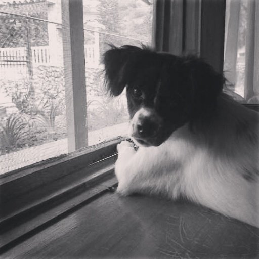Enamorada de la vida