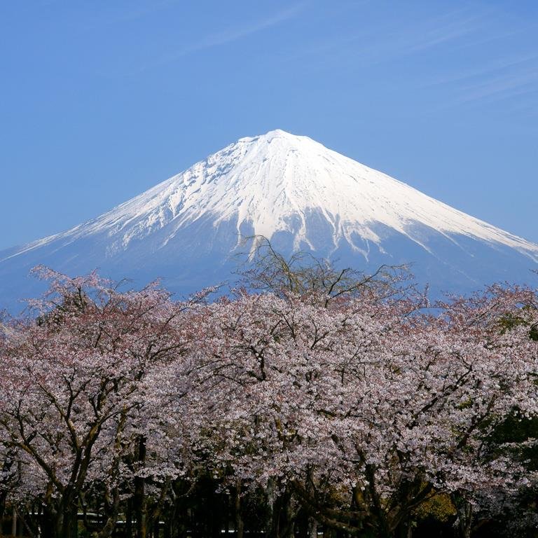 静岡県出身の早稲田生が集まった大学公認サークルです。
主な活動は稲門祭での地元名産品の販売です。
地元トークで盛り上がります。
今年は10/19(日)に稲門祭が開かれ、静岡県名産品を販売する予定です。ぜひお越しください。