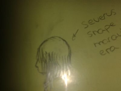 Soy Severus Snape.Slytherin.DCAO y pociones.Protegeré a Potter. Si crees que mi boggart es James es que no sabas nada de amor. Always. #EF