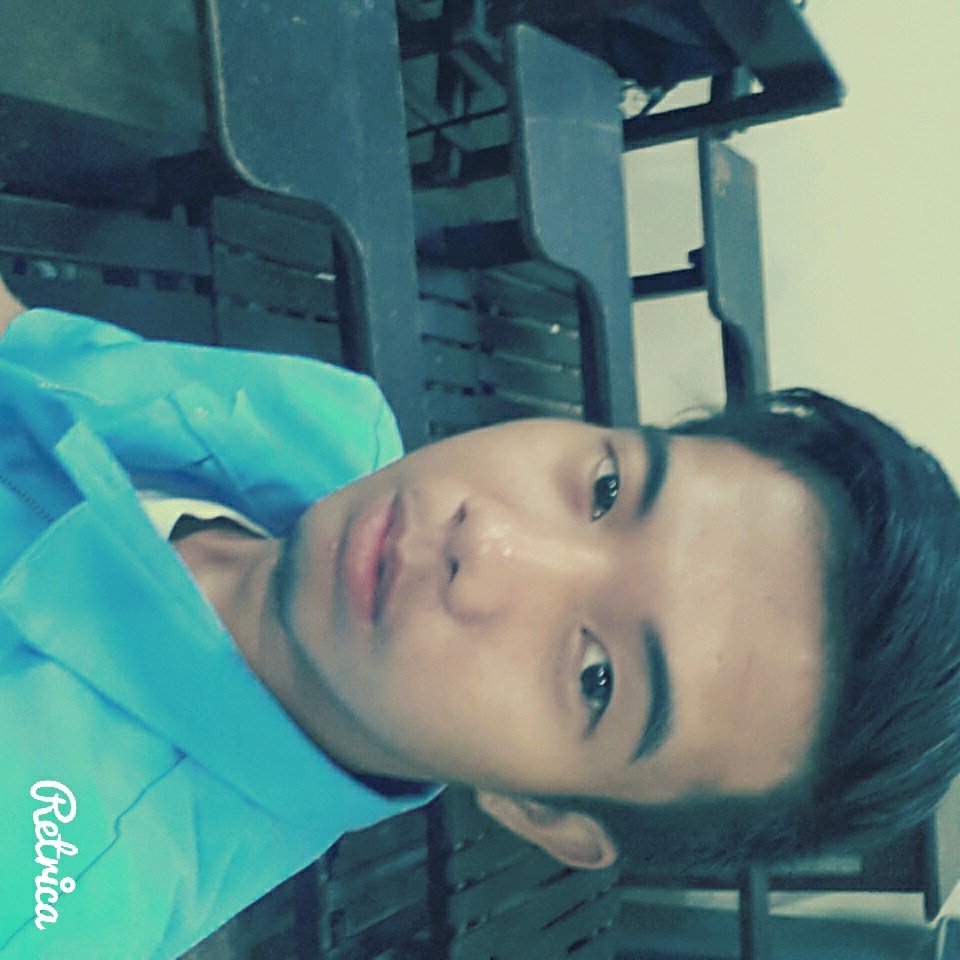 trebortehub's profile picture. 