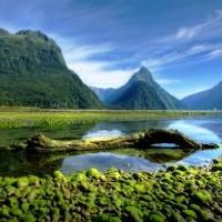 Environment News (@climatenutshell) 's Twitter Profile