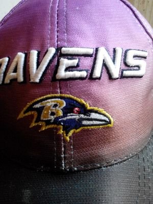 Baltimore Sports Fan