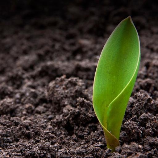 GardenShackShop's profile picture. The Garden Shack is a Home and Garden Decor Store!
 http://t.co/tRv7aPM8Q4
http://t.co/P6pEfRHG7u
Find Us on Google+ and Instagram!

We Follow Back!