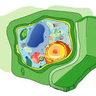 CellWall01's profile picture. vote cell wall for 2014 mvo
protect
support
serve
thats just what we do