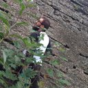 will bradley - @WillBeRadLee - Twitter