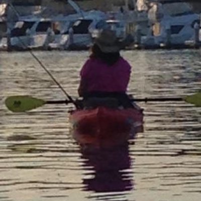 Profile Picture of Karen Brogdon Gatlin (@BrogdonKaren) on Twitter
