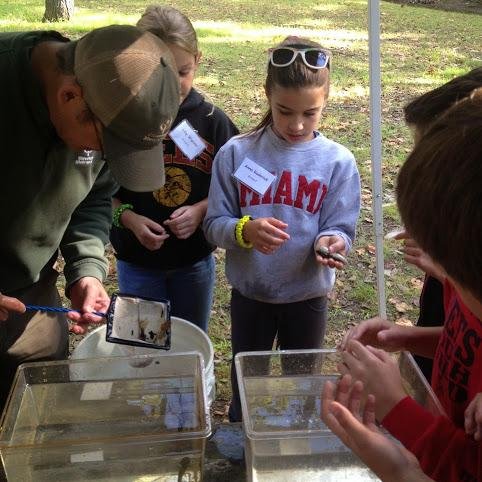 I tweet awesome STEM happenings in the Brecksville-Broadview Heights City School District, as well as STEM opportunities & items of interest to our students!