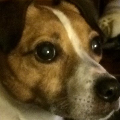 trib0828's profile picture. Musician, retired educator and adult beverage adventurer.