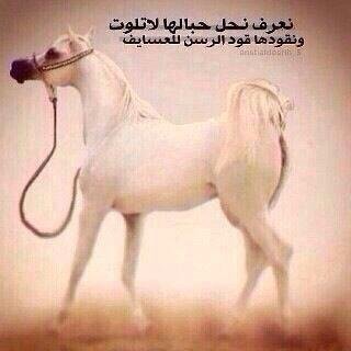 suhail