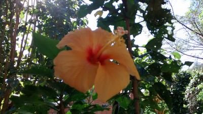 AndreaArzua's profile picture. 