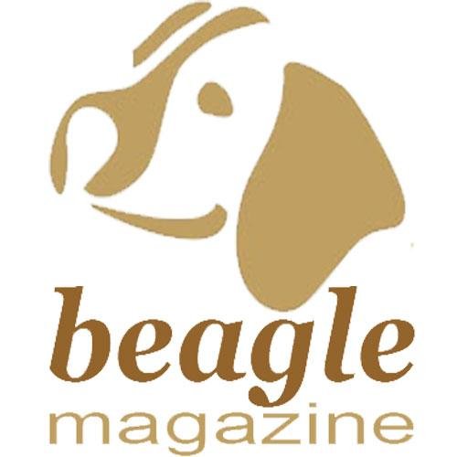 beaglemagazine's profile picture. Beagle news, information, healthcare and events!