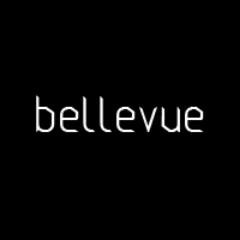 Electronic music blog.