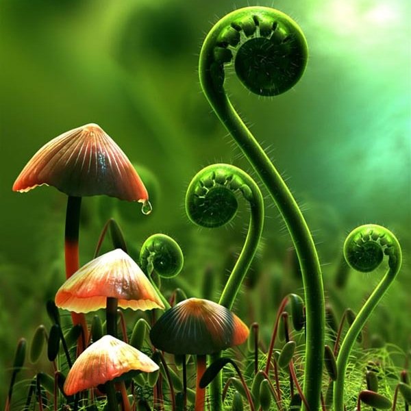 Cell_Wall_Brah's profile picture. I am the protector of plants