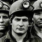 maksim_wolk's profile picture. 