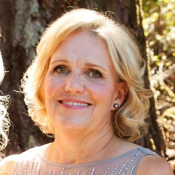 LibraryTree's profile picture. 