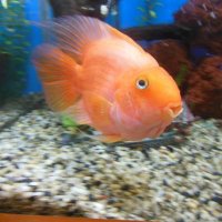 WyckoffLibrary (@wyckofflibrary) 's Twitter Profile