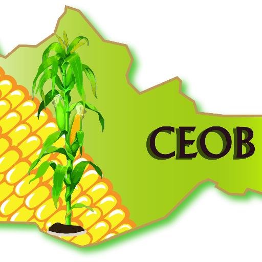 CeobOax's profile picture. 