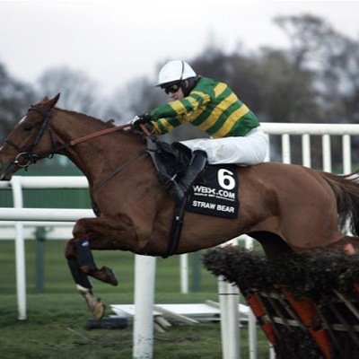 Two young lads who have a passion for horse racing!