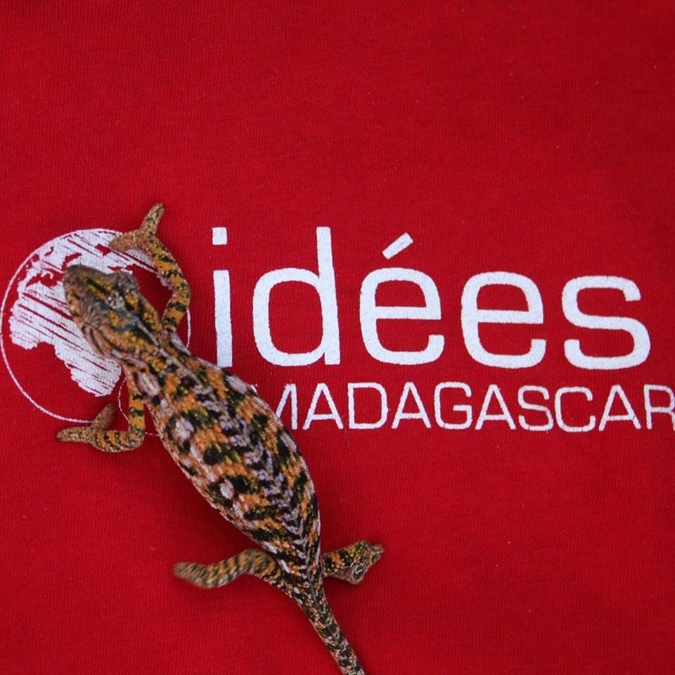 Idées Madagascar est une association d'aide au développement fondée en 1994 par des étudiants de l'ESME Sudria.