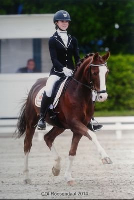 Lieke_vandeVen's profile picture. ★ 6-10-2000  ★ Caine van de Beekerheide Z2 ★ FEI dressage rider for the Netherlands ★ Solo Z1 ★ Isarco ★ SG WereDi ★ insta lieke_vandeven ★
