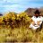 radhyper's profile image