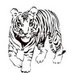 Stafford Primary (@stafps) Twitter profile photo