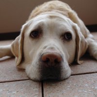 mb (@maubermb) 's Twitter Profile