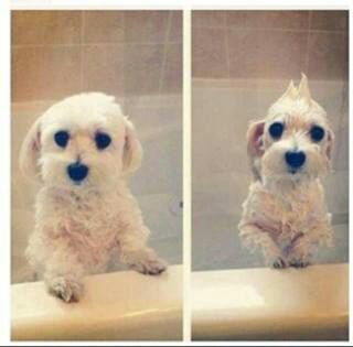 ComRtniz's profile picture. 