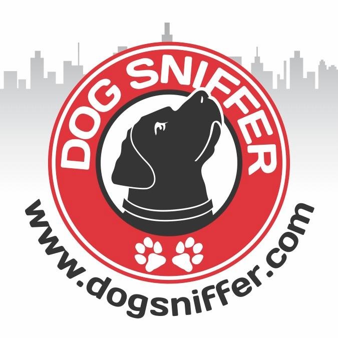 The one stop for anyone looking for Dog Friendly Events & Destinations and services in Southern California.  Get Your Woof On!