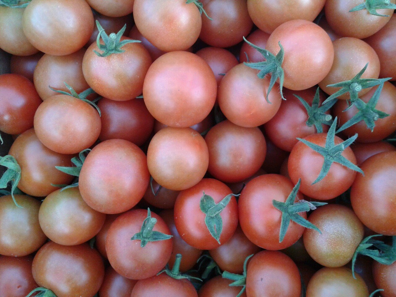 Selling quality fresh fruit & vegetables for over 100 years.