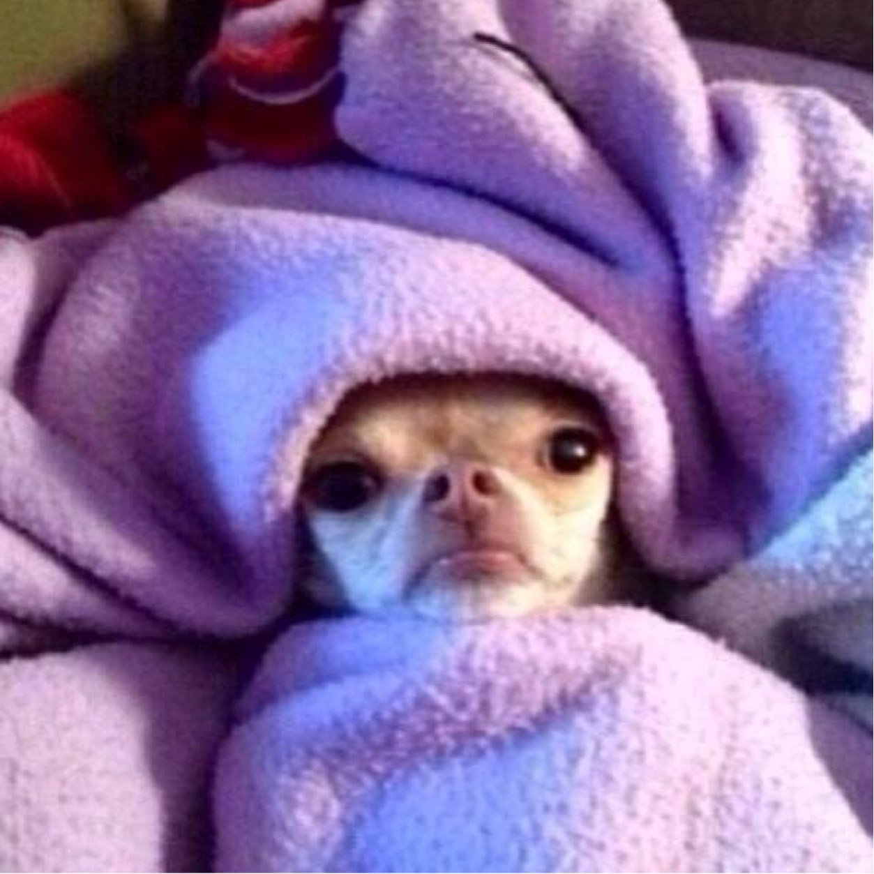 trojantrial's profile picture. What do lawyers wear to court?
Lawsuits!