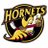 CRHornets's profile image