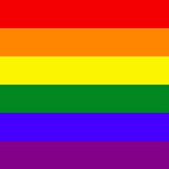 LGBTQ and Ally club.  Celebrating loving relationships and loving oneself in every way. :)