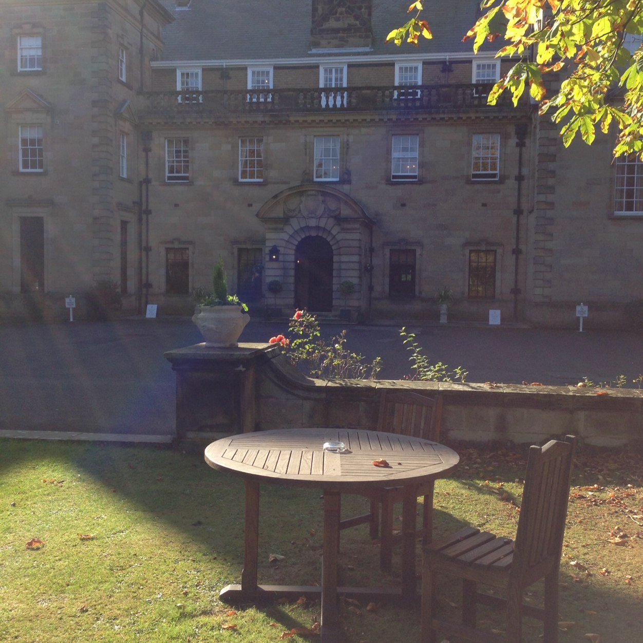 Dawncorus's profile picture. 