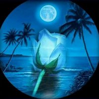 Persefone (@persefone47) 's Twitter Profile