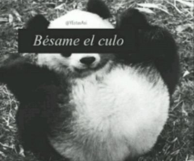 escribir_te's profile picture. Escribiendo...