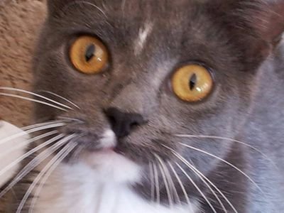 trublyss's profile picture. creative writer, songbird and I am truly blissful.