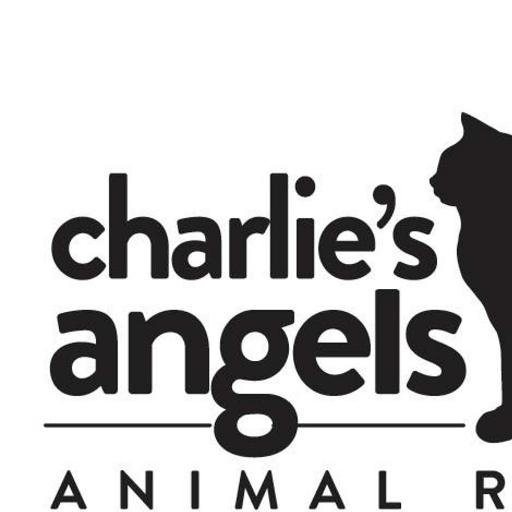 Charlie's Angels Animal Rescue, strictly volunteer, pulls adoptable animals from the Transylvania Shelter in Brevard, NC and finds rescue or forever homes.