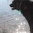 gigabec's profile image
