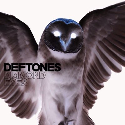 auditorytremors's profile picture. I won't follow for a follow unless you're funny, relevant or obviously not a bot.