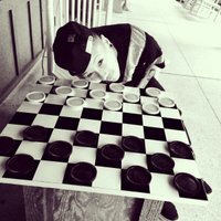 Inika McPherson (@highjumpqueen) 's Twitter Profile