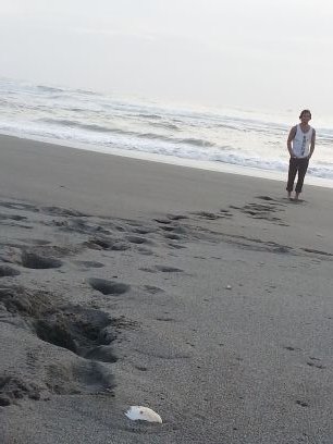 ryedwatson's profile picture. 