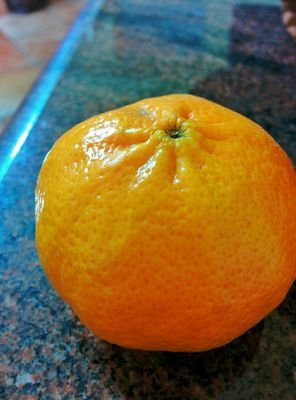 msc_ndr's profile picture. 