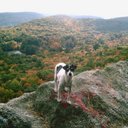 Mark Germano - @mgermano621 - Twitter