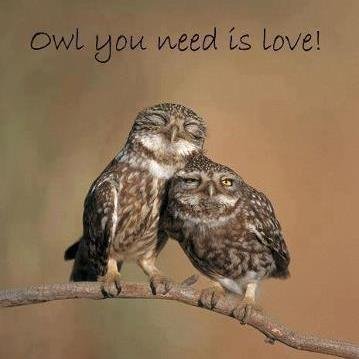 librarycat1212's profile picture. 