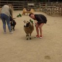 Dee Cahill - @Deesgusting - Twitter