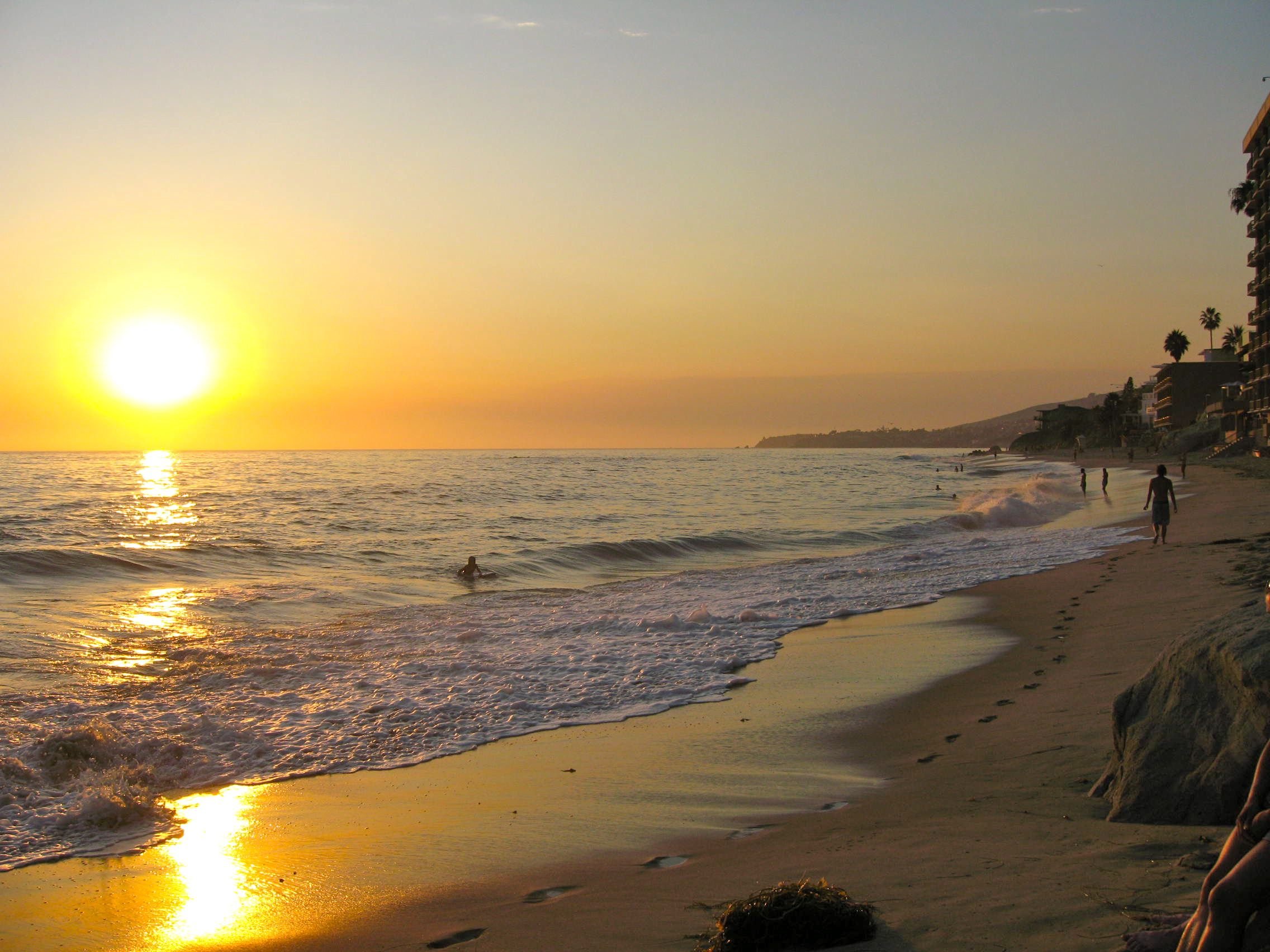 divehipevoloq's profile picture. Avid social media trailblazer